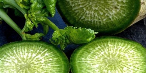 Kineska (margelan) rotkvica